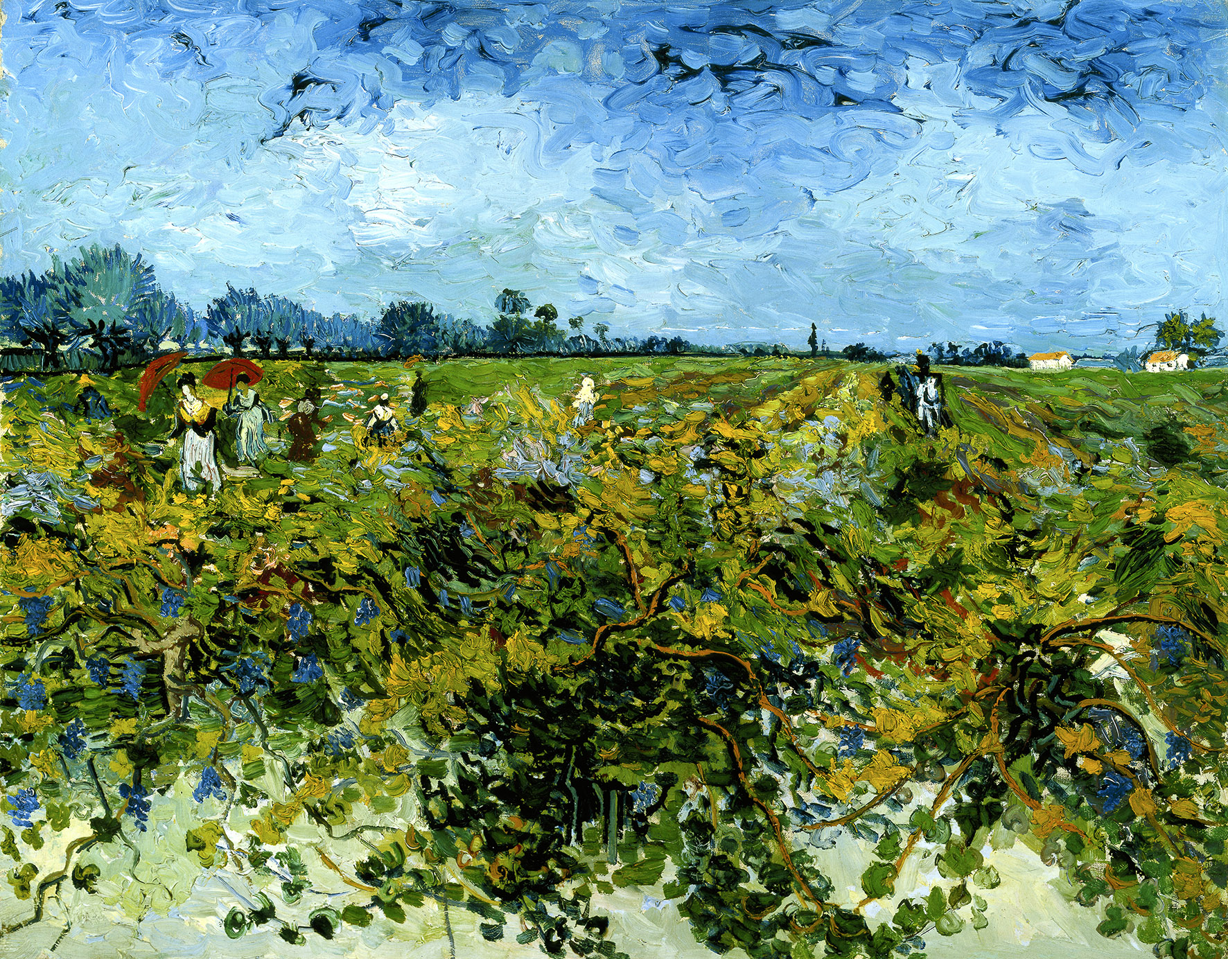 Vincent van Gogh, Il Vigneto verde, 1888, olio su tela, cm 72,2